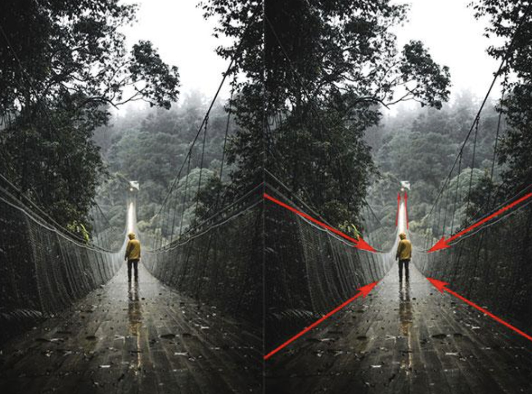 The Composition Choices That Quietly Make a Photo Work