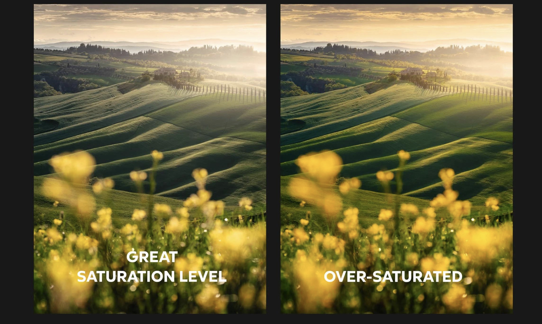 The Fine Line Between Editing a Photo and Overcooking It